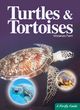 Image for Turtles and Tortoises