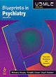 Image for Blueprints in Psychiatry