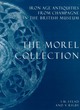 Image for Iron Age antiquities from Champagne  : the Morel collection