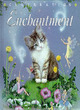 Image for Enchantment