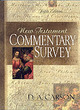 Image for New Testament commentary survey