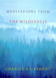 Image for Meditations from the wilderness