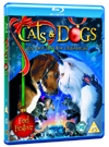Cats and Dogs