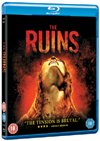 Rent The Ruins today