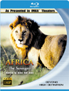 Rent Africa - The Serengeti today