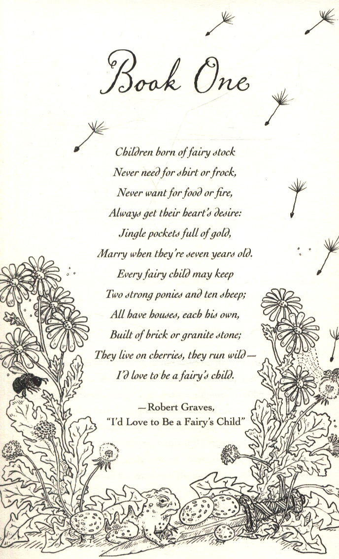 the cruel prince book