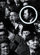 Image for Face In The Crowd