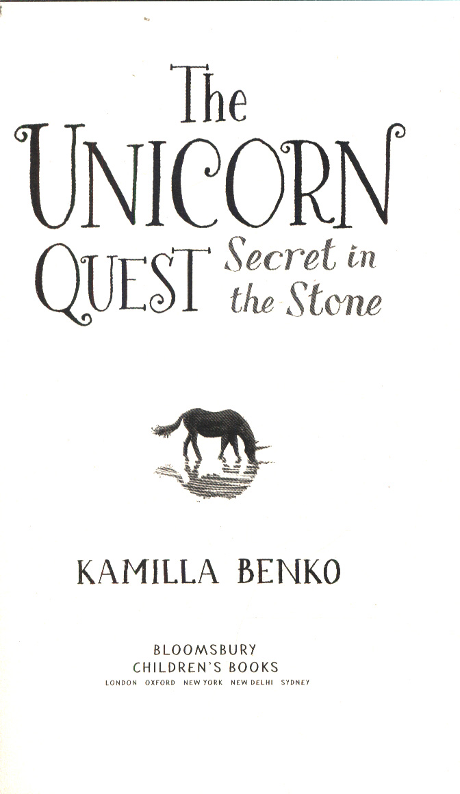 Secret in the stone