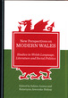 Image for New Perspectives on Modern Wales