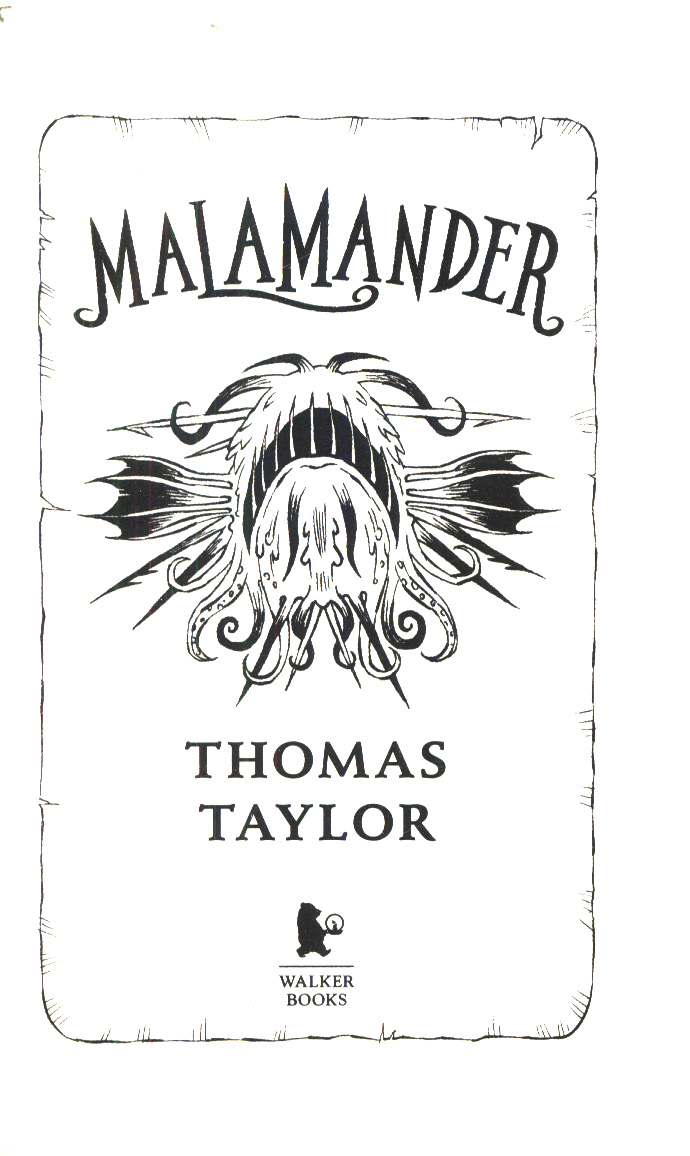 herbert lemon malamander herbert lemon malamander