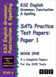 Image for KS2 English Grammar, Punctuation and Spelling SATs Practice Test Papers for the 2019 Tests: Paper 1 - Book One (Year 6) (STP KS2 English Revision)