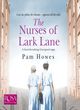 Image for The nurses of Lark Lane
