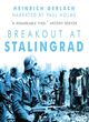 Image for Breakout at Stalingrad