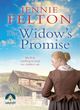 Image for The widow&#39;s promise