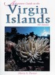 Image for Adventure Guide to the Virgin Islands
