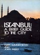 Image for Istanbul City Guide