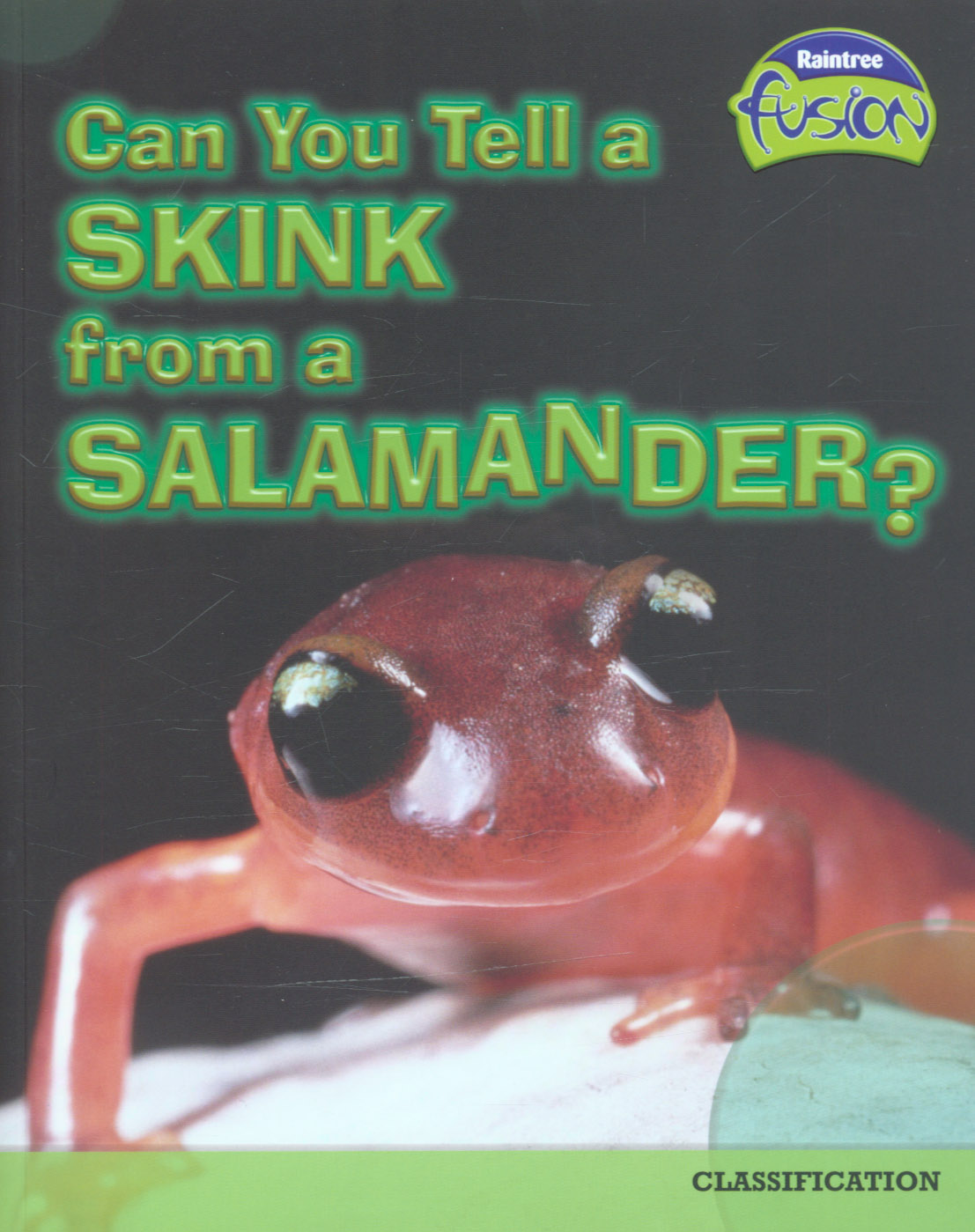 Image for Can you tell a skink from a salamander?