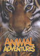 Image for Animal adventures