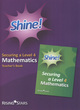 Image for Securing a level 4 mathematics: Teacher&#39;s book