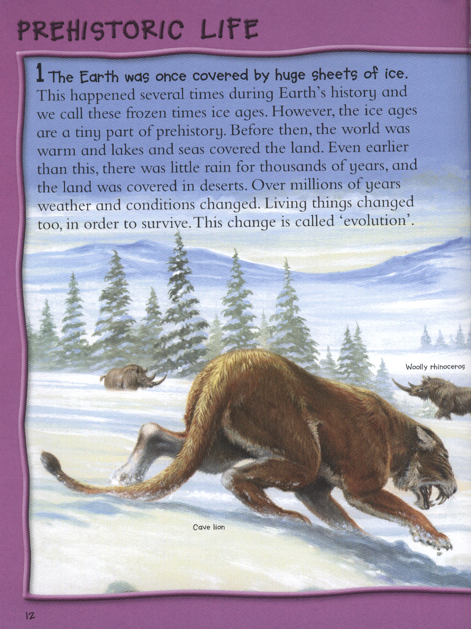 Over 1000 fantastic animal facts