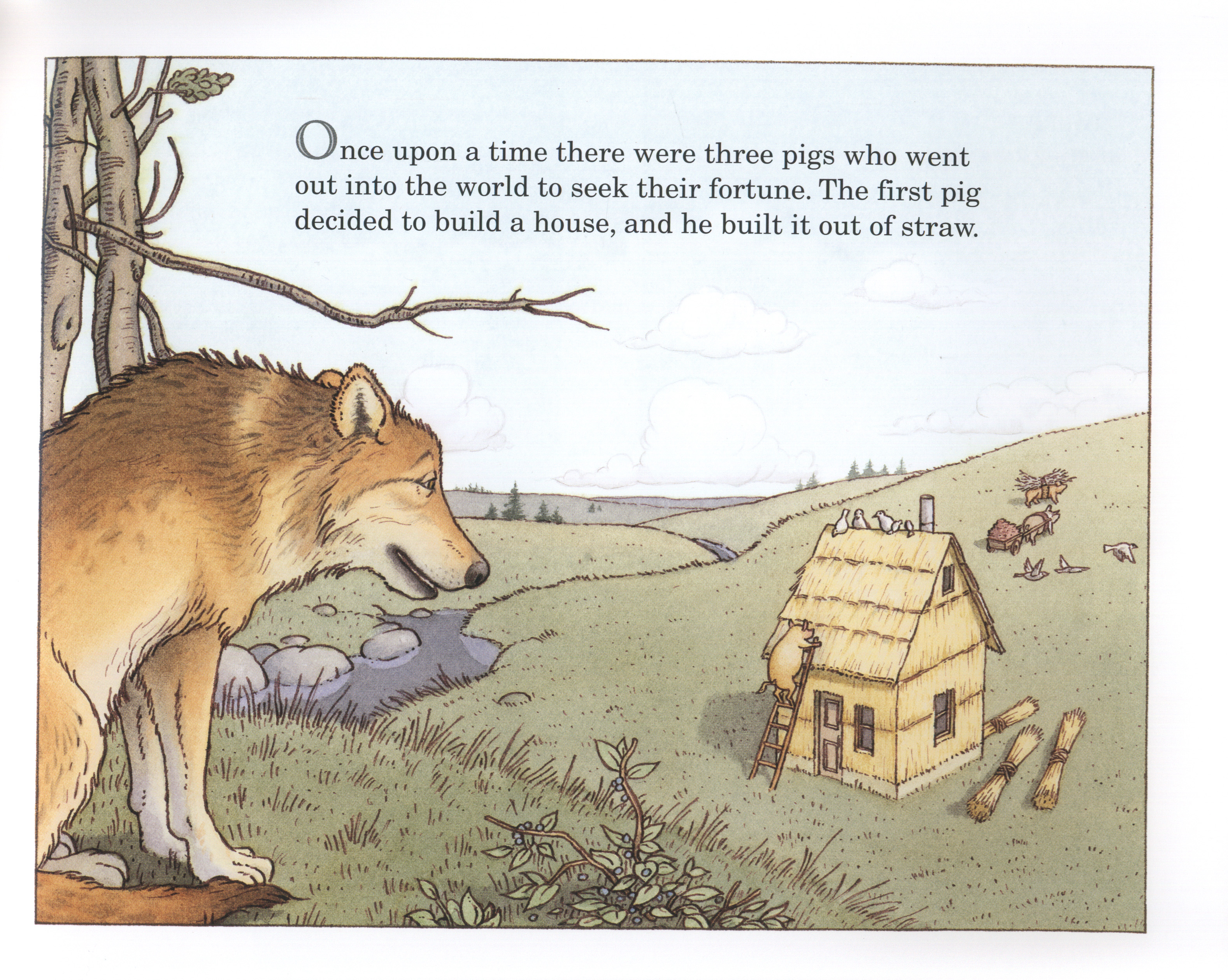 The Three Pigs by Wiesner, David (9781849394055) | Browns Books