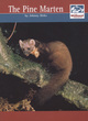 Image for The pine marten