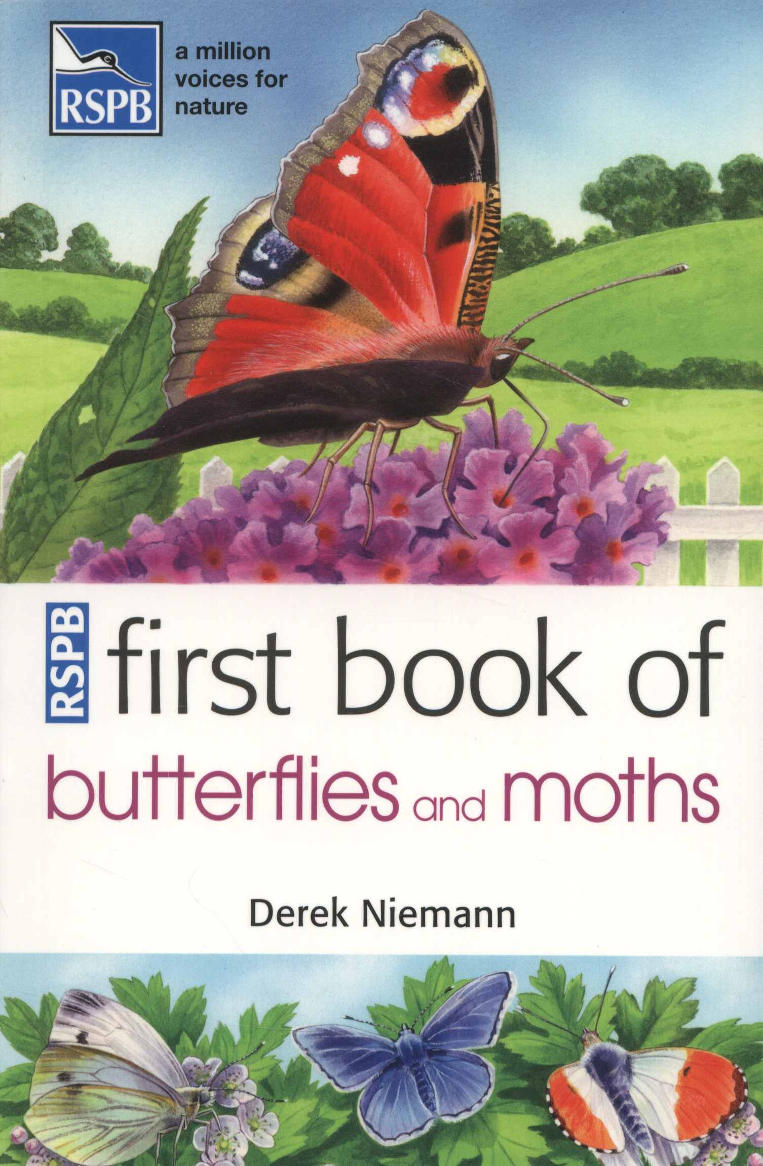 RSPB first book of butterflies and moths by Niemann, Derek