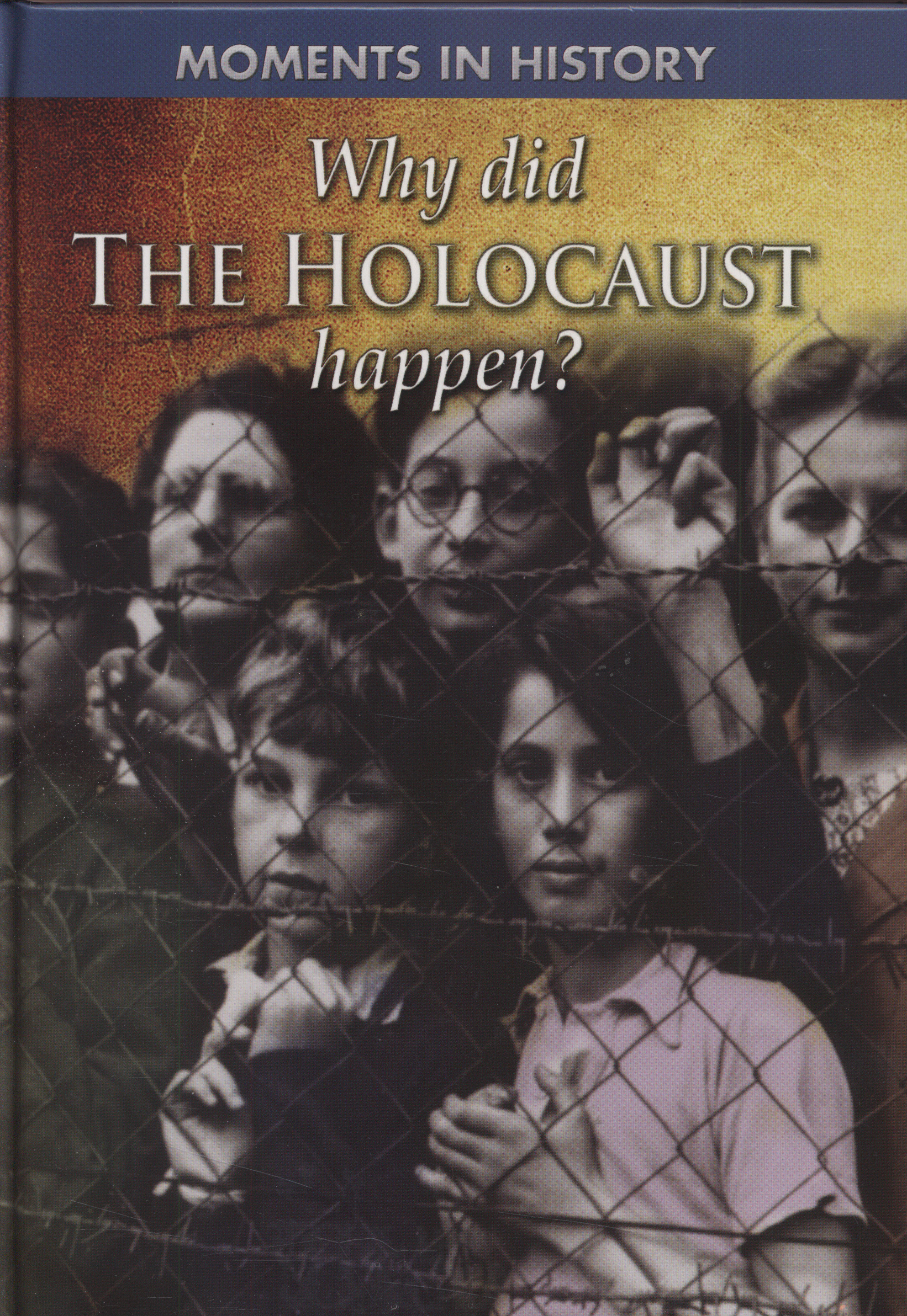 History Why Did The Holocaust Happen