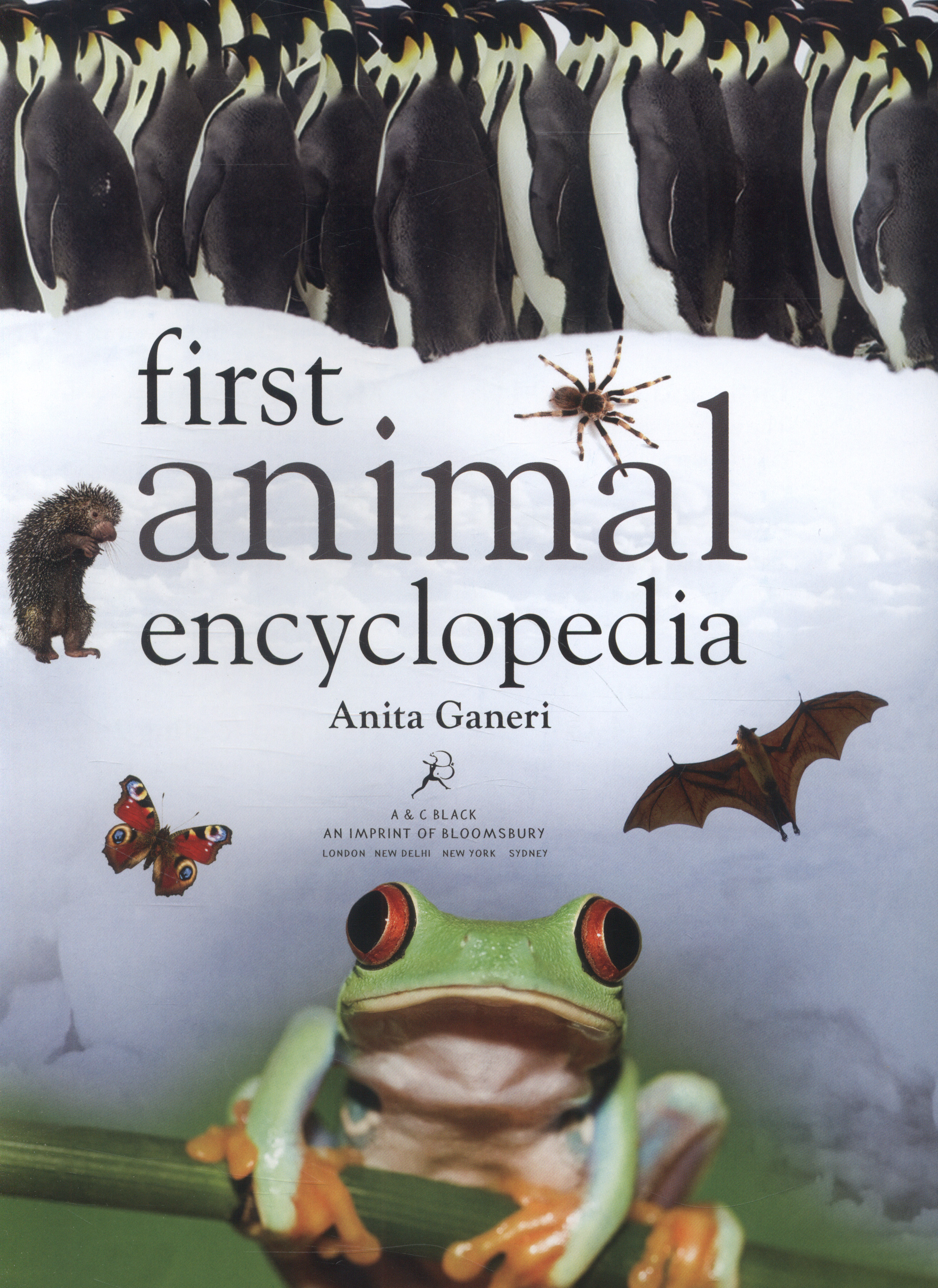 First Animal Encyclopedia By Ganeri Anita 9781408842522 Brownsbfs