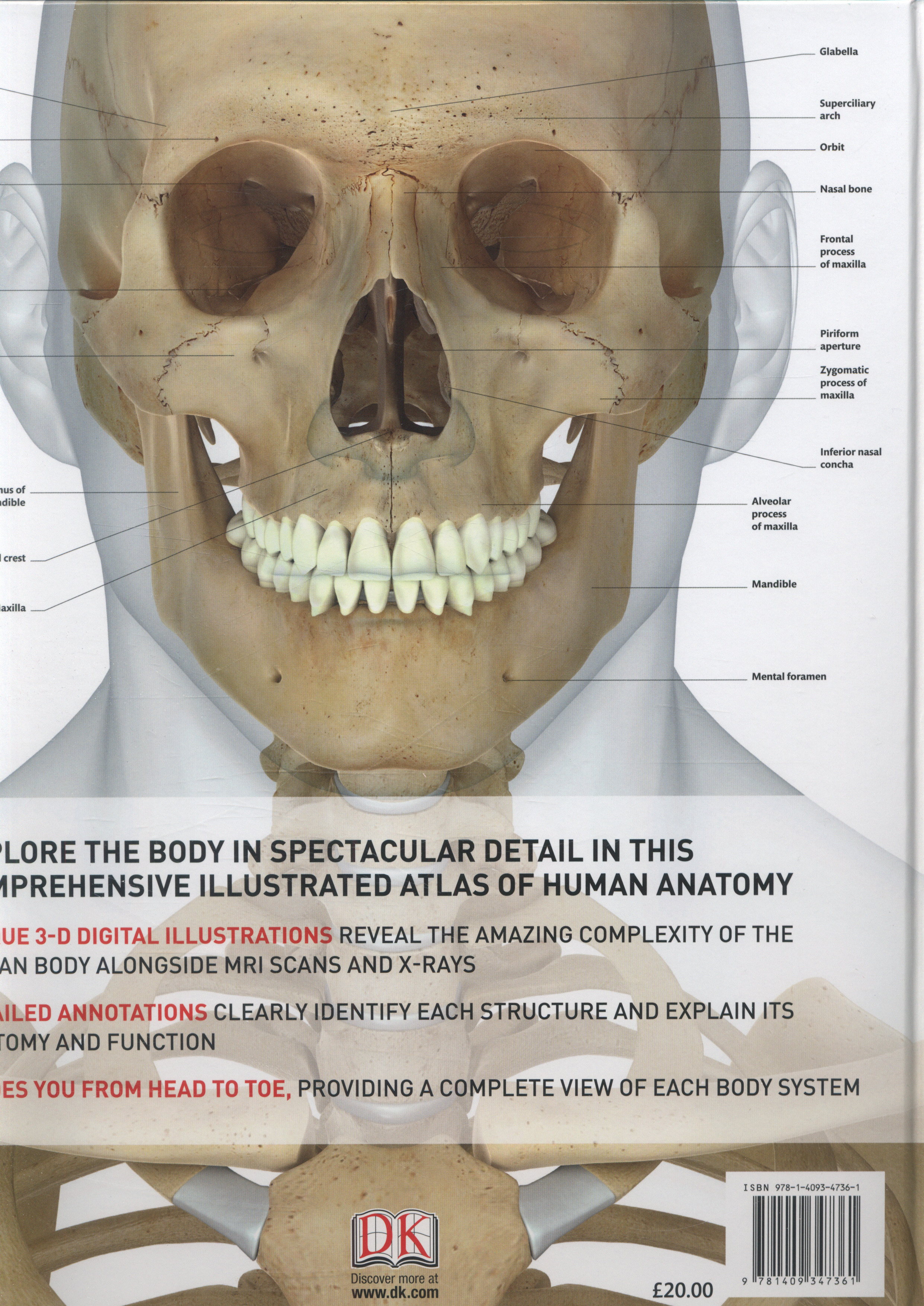 Human anatomy the definitive visual guide Biology Diagrams