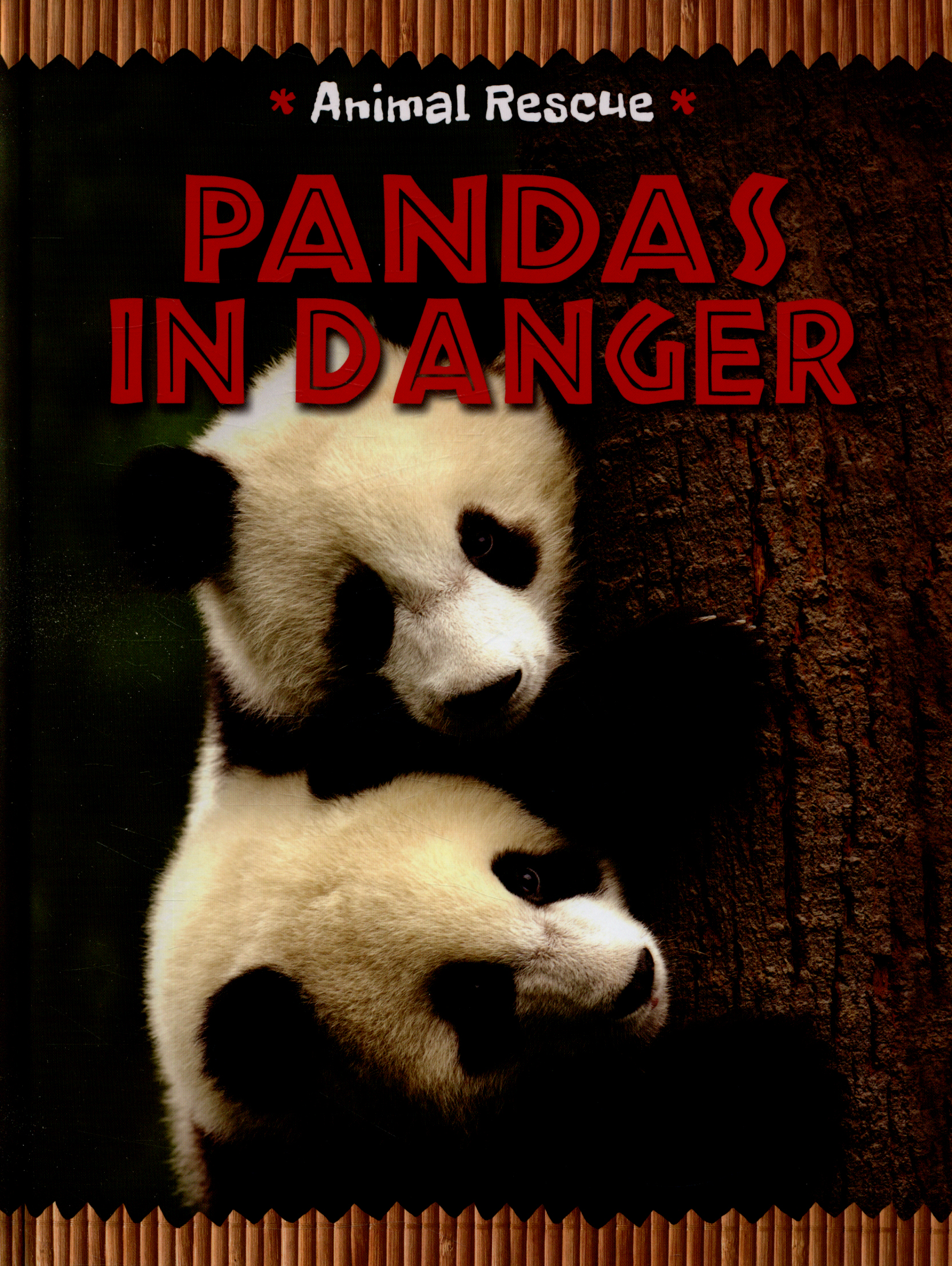Pandas in danger by Hibbert, Clare (9781445133942) | BrownsBfS