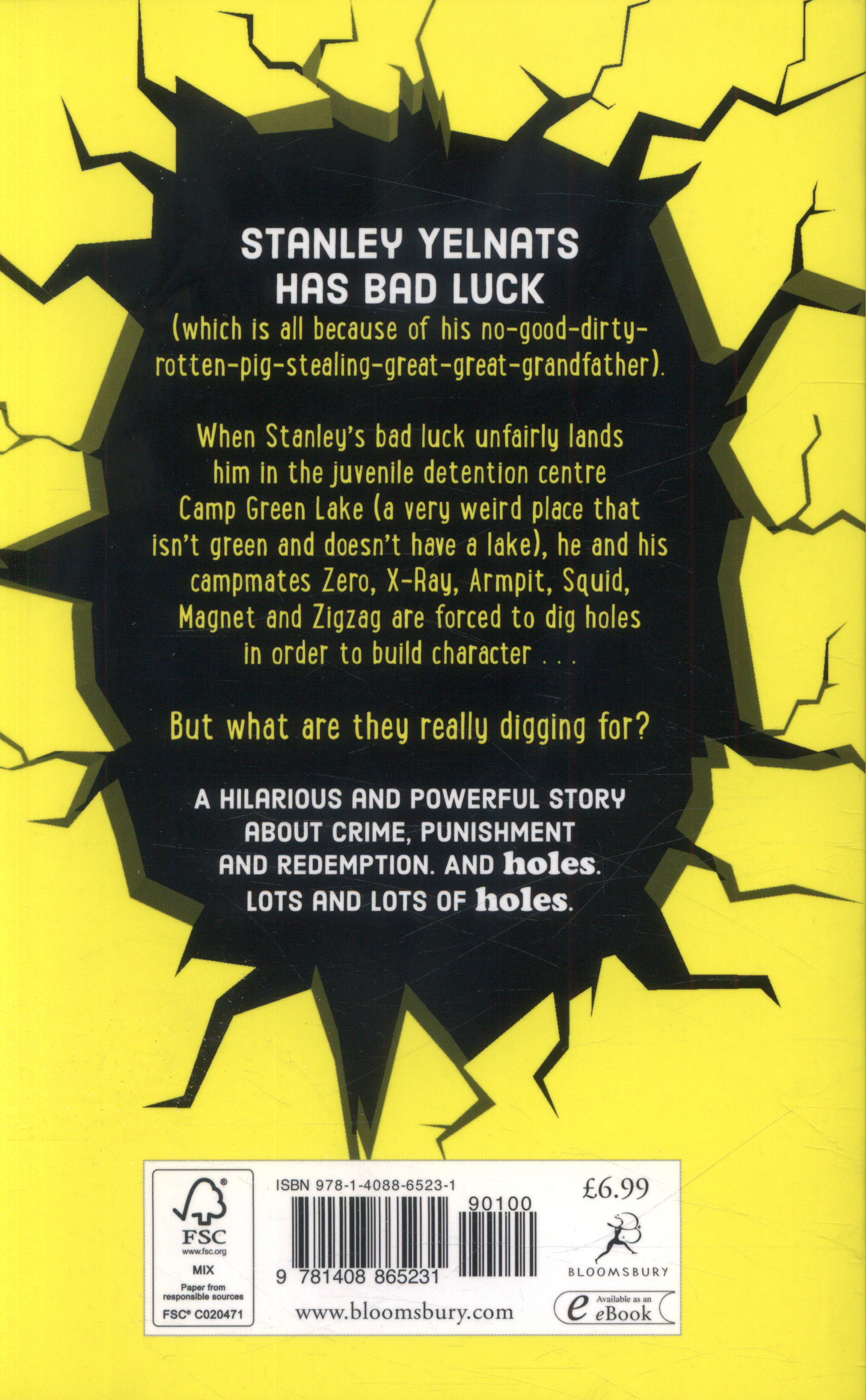 Holes by Louis Sachar Paperback Book -  UK