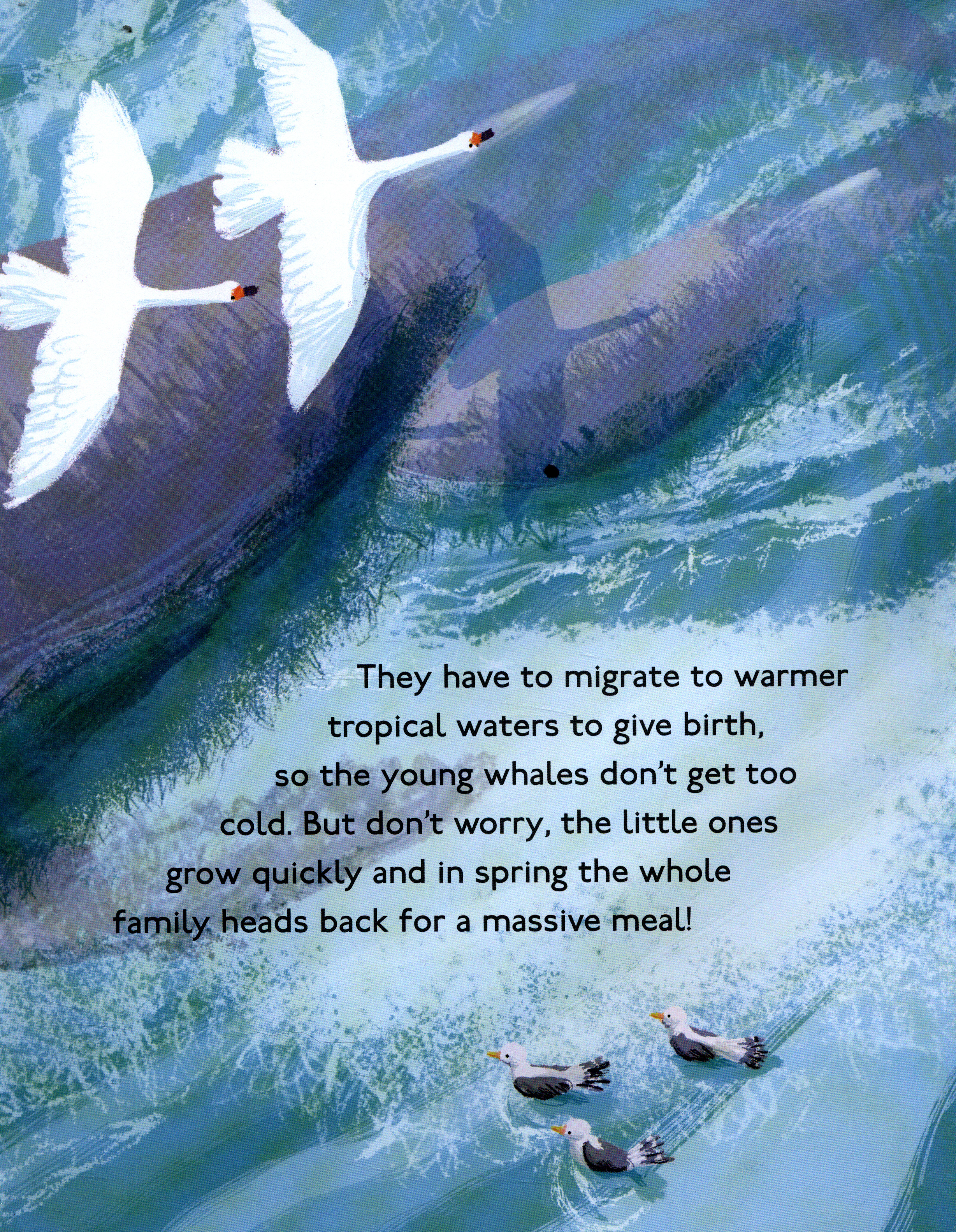 Amazing animal journeys