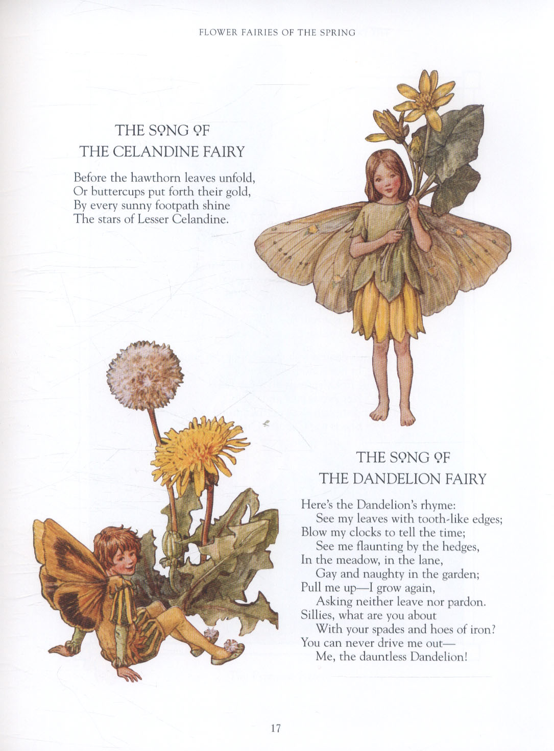 The Complete Book Of The Flower Fairies By Barker Cicely Mary