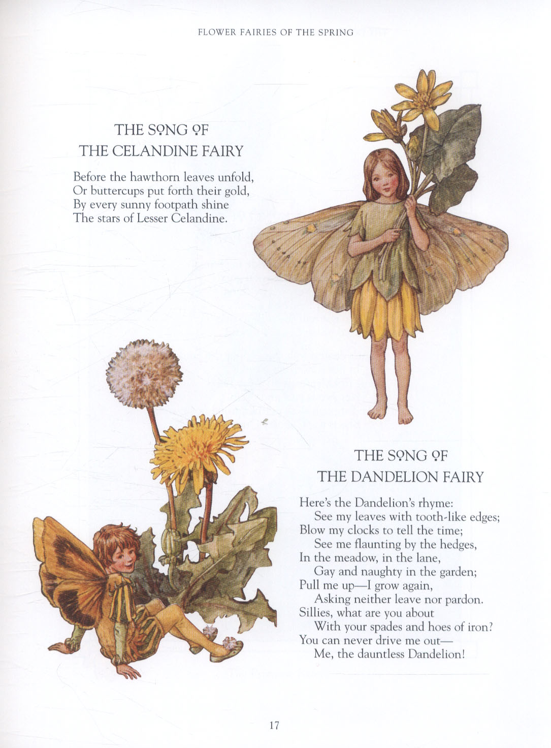 The complete book of the flower fairies by Barker, Cicely Mary (9780241269657) BrownsBfS