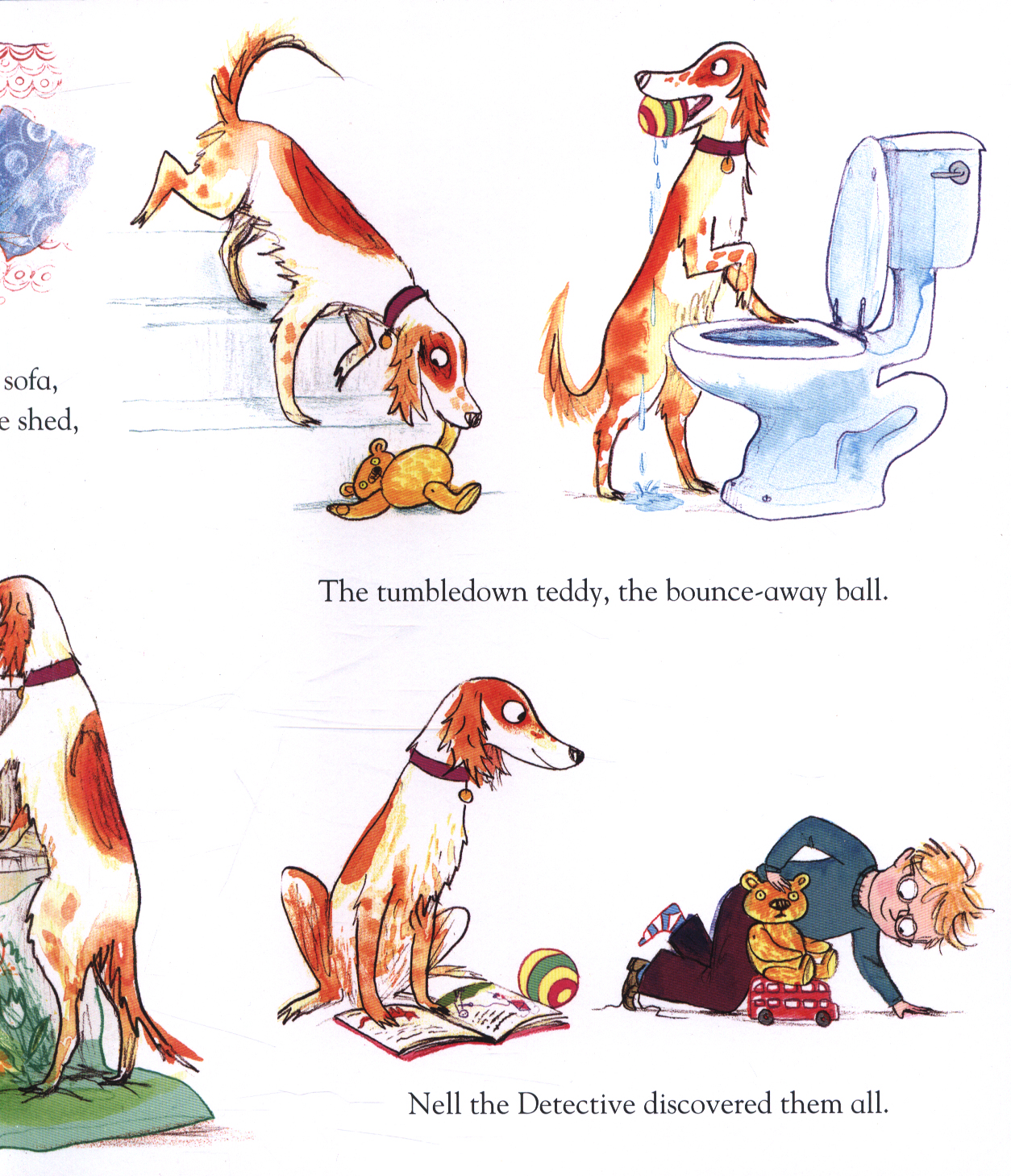 The detective dog by Donaldson, Julia (9781509801602) BrownsBfS