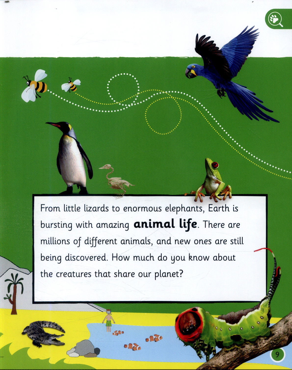My Encyclopedia of Very Important Animals by DK (9780241276358 ...
