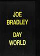 Image for Joe Bradley - Day World