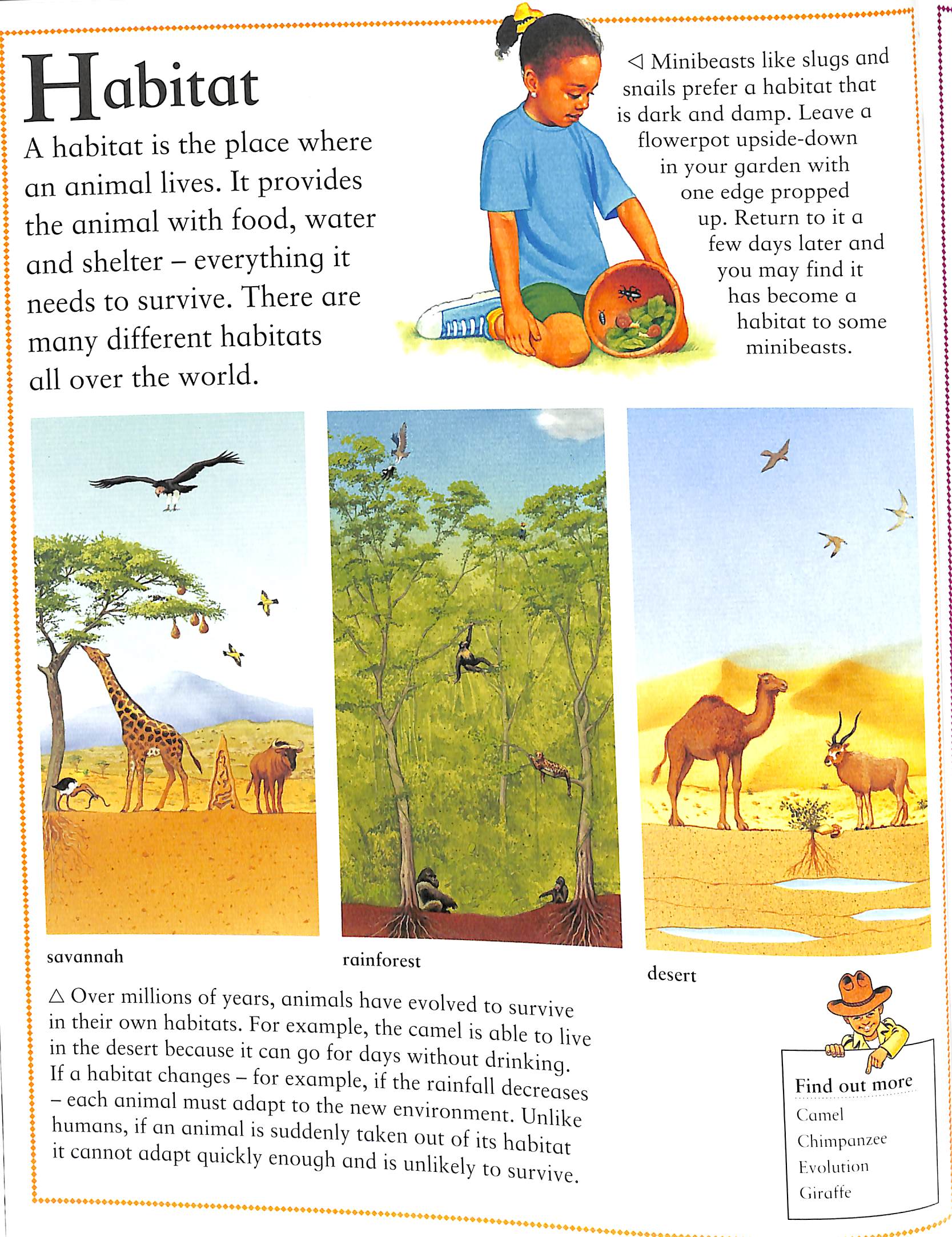 Kingfisher first encyclopedia of animals