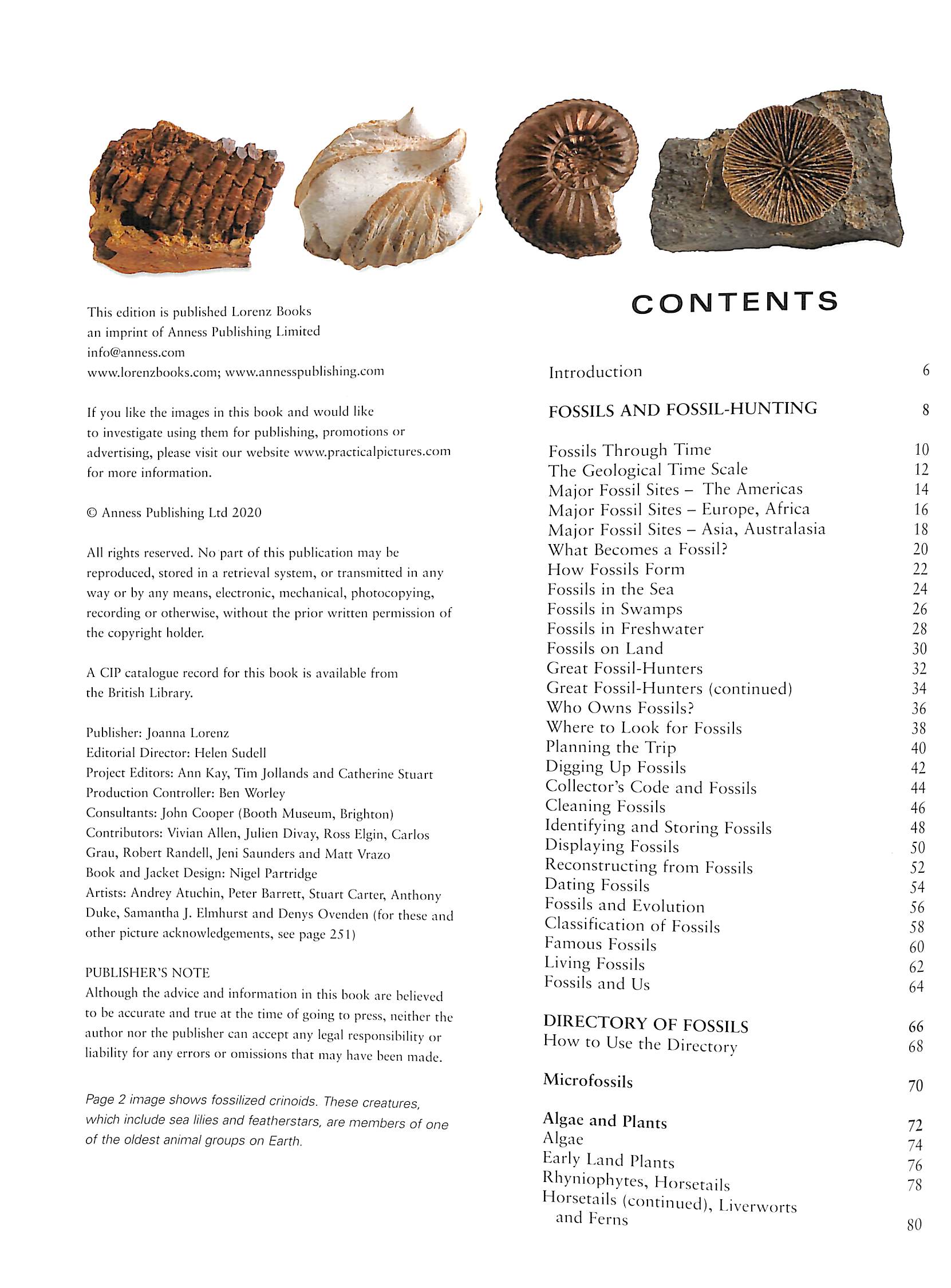 The illustrated guide to fossils & fossil collecting a visual