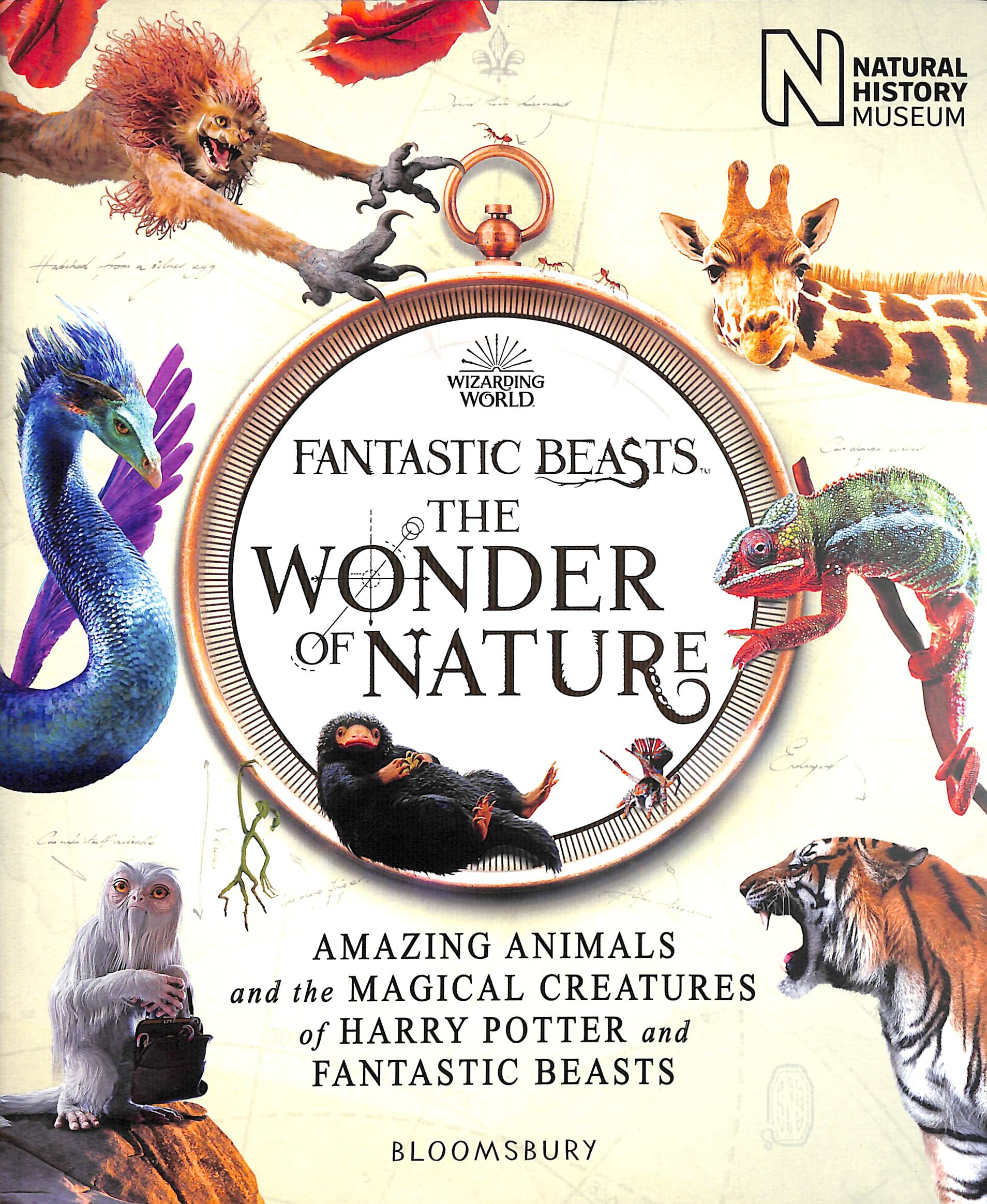 Fantastic beasts : the wonder of nature