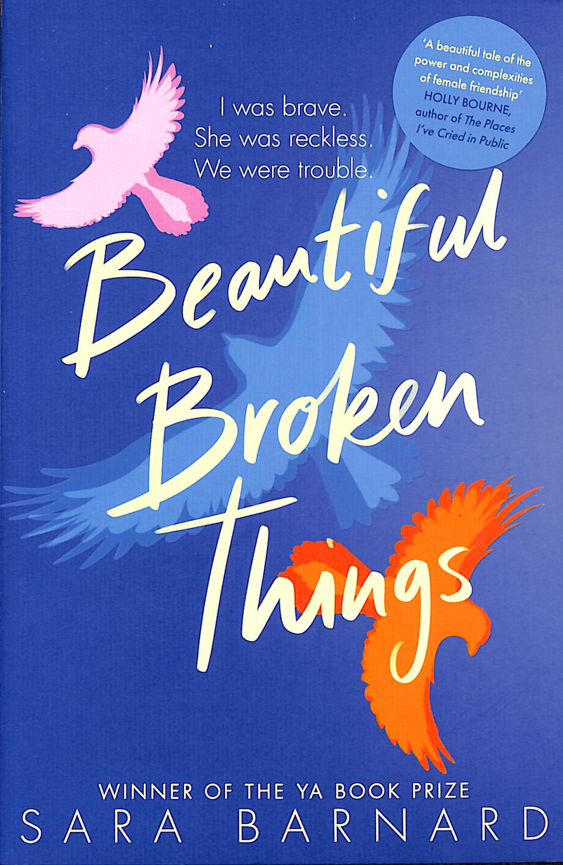Beautiful Broken Things By Barnard Sara 9781529037609 Browns Books Beautiful Broken Things By Barnard Sara 9781529037609 Browns Books