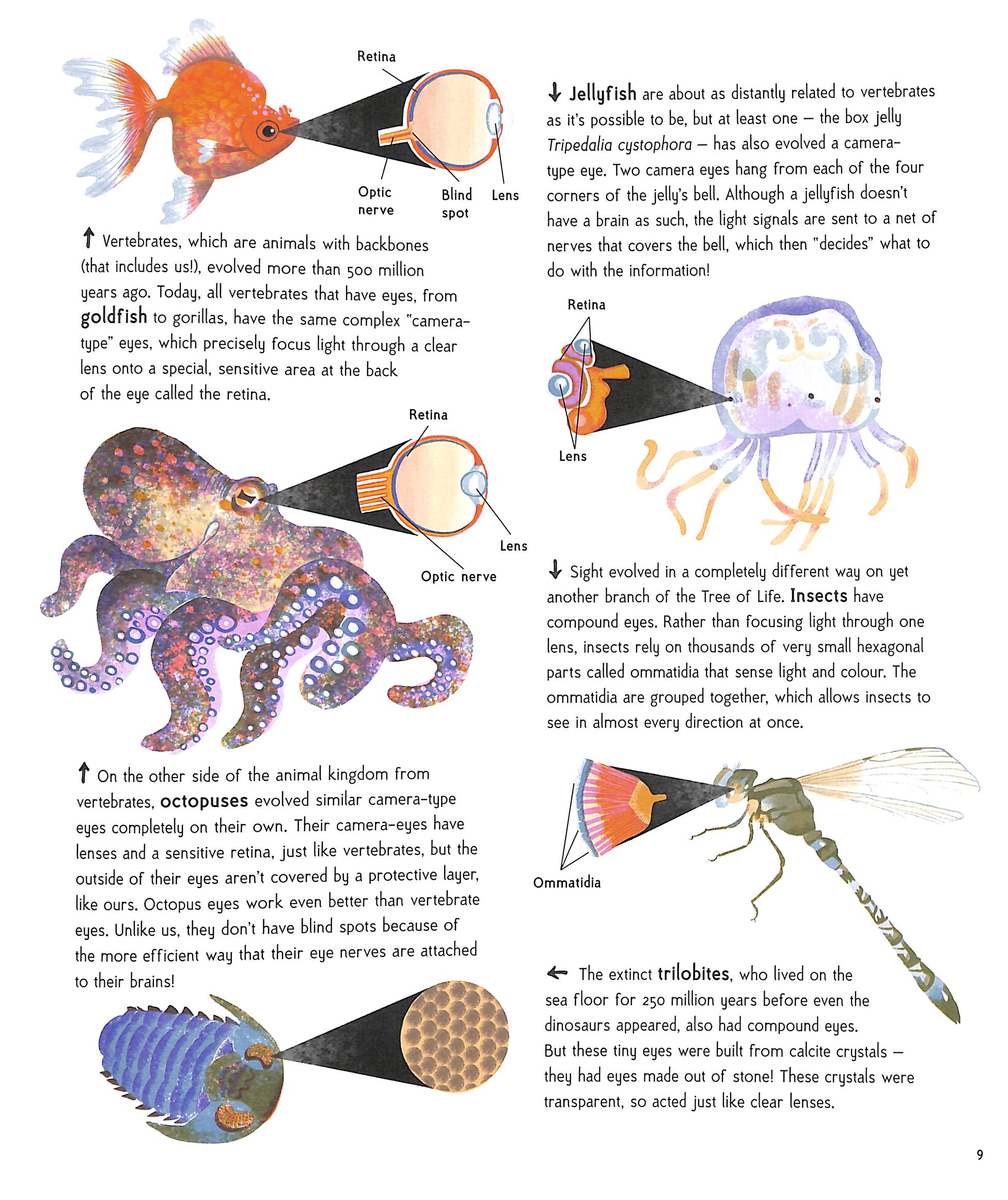 Animal Super Powers: The Most Amazing Ways Animals Have Evolved by ...