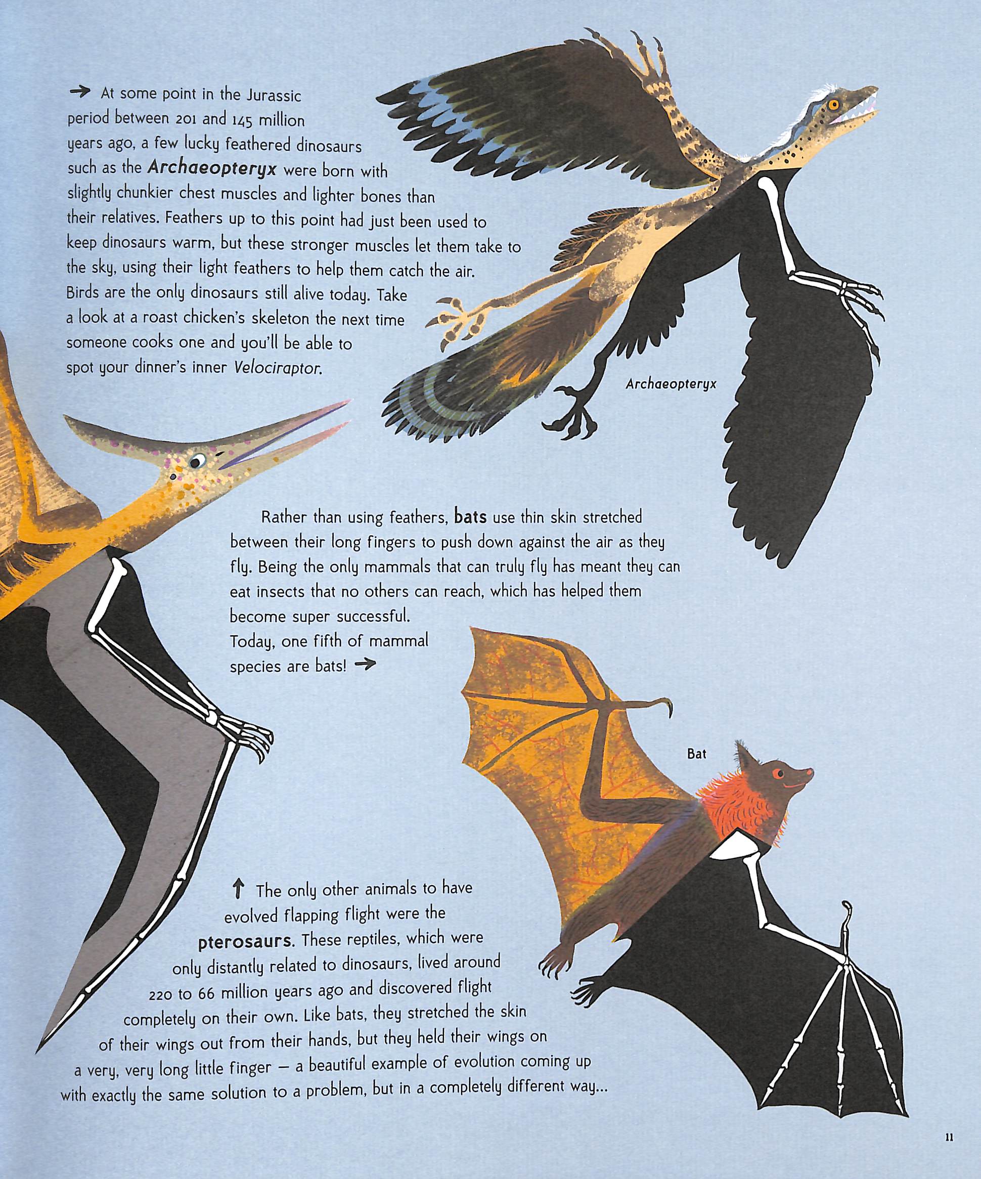 Animal Super Powers: The Most Amazing Ways Animals Have Evolved by ...