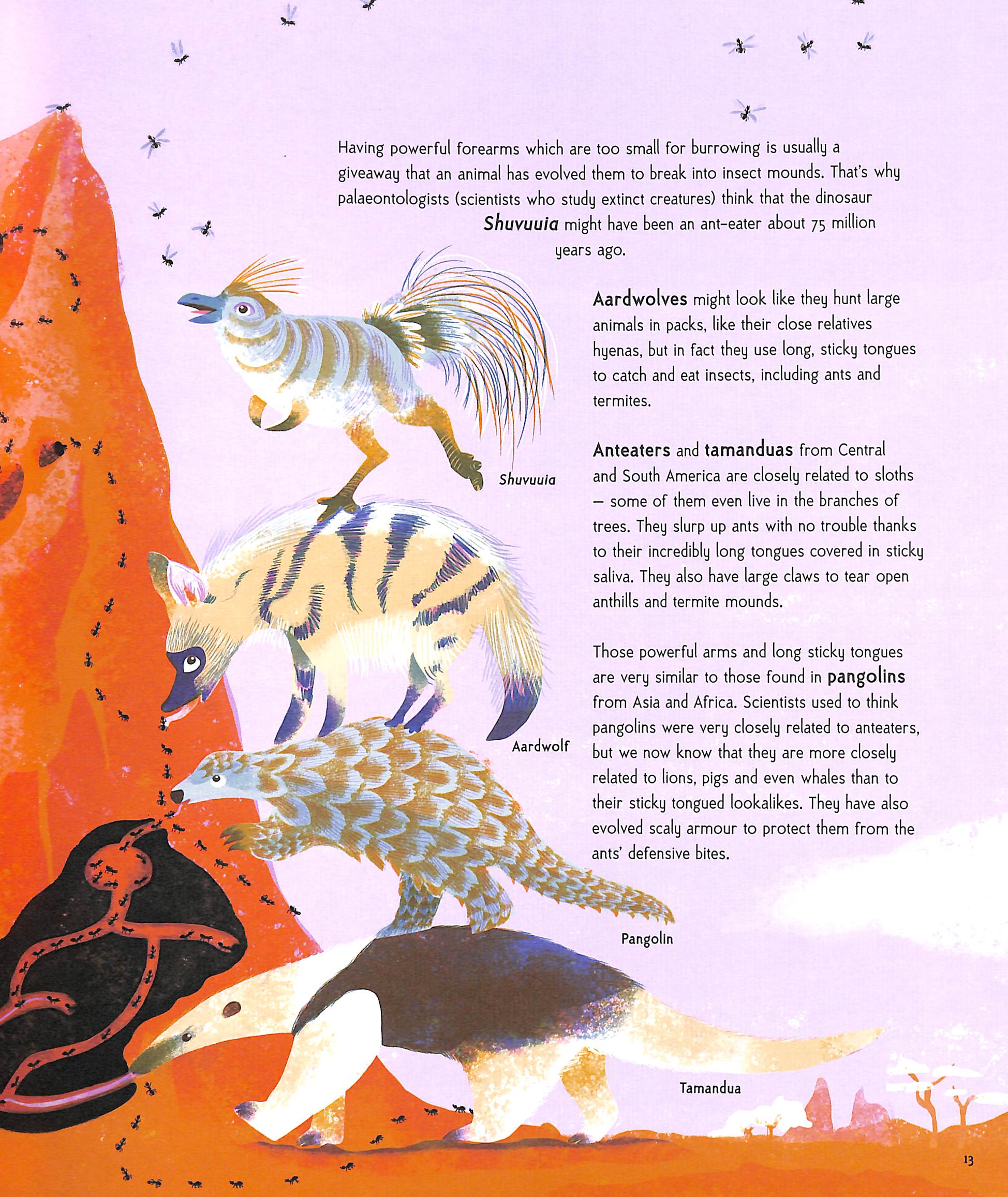 Animal Super Powers: The Most Amazing Ways Animals Have Evolved by ...