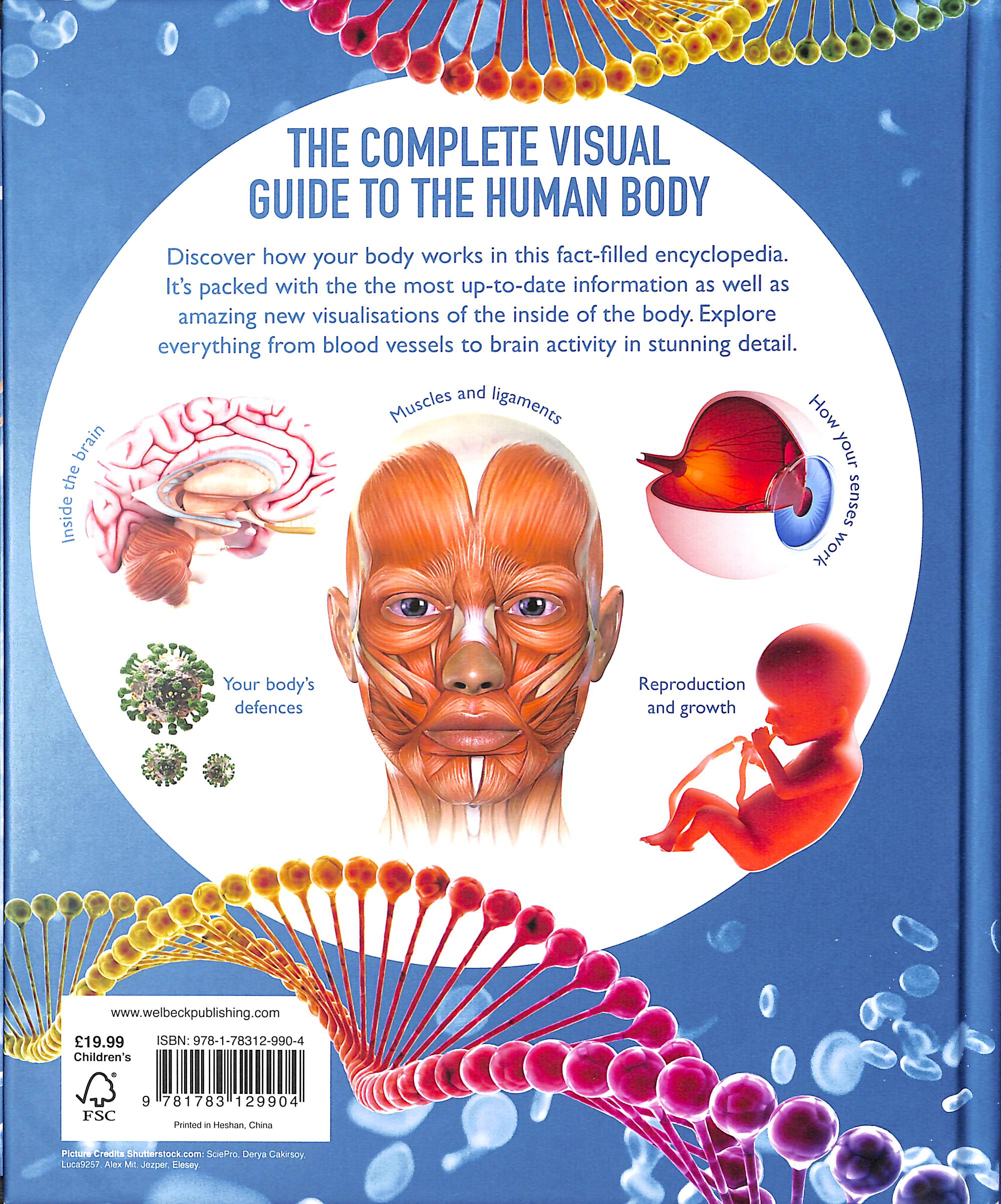 The Ultimate Human Body Encyclopedia The complete visual guide