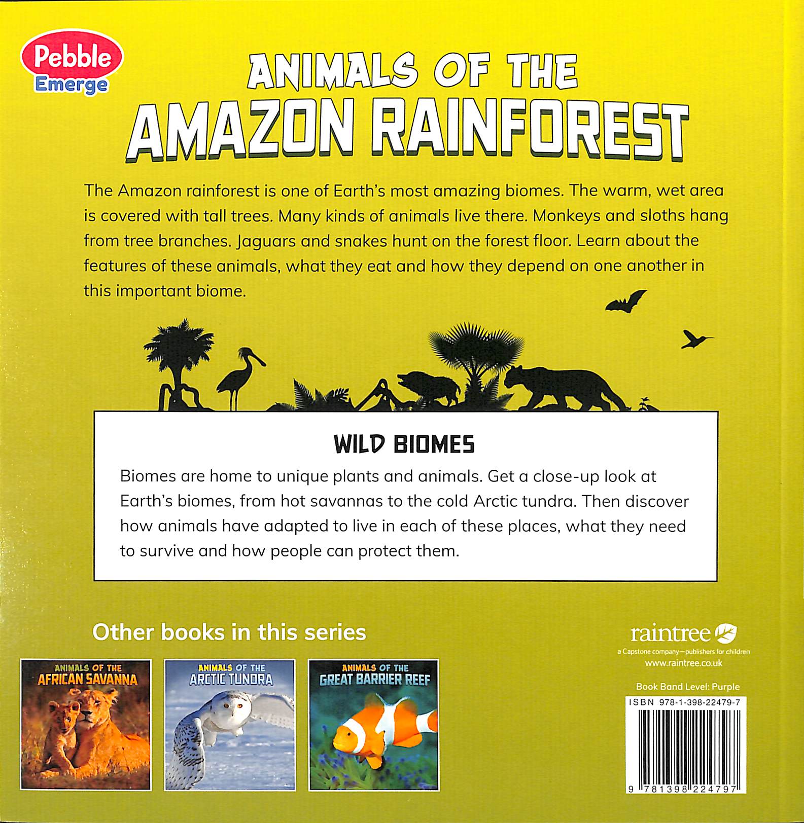 Animals of the Amazon Rainforest
