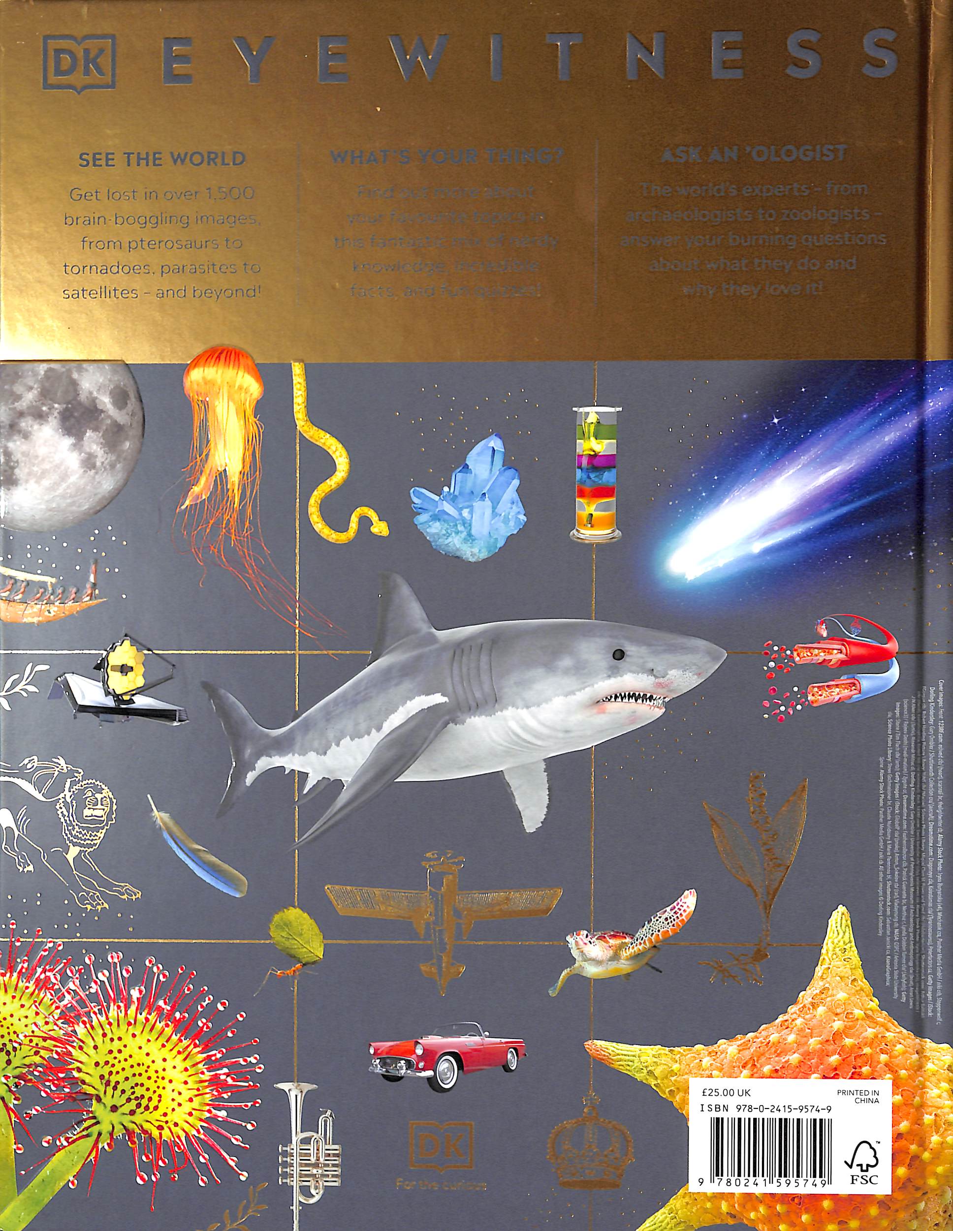 Eyewitness Encyclopedia of Everything by DK (9780241595749) | Browns Books