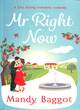 Image for Mr Right Now