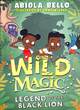 Image for Wild Magic: Legend of the Black Lion